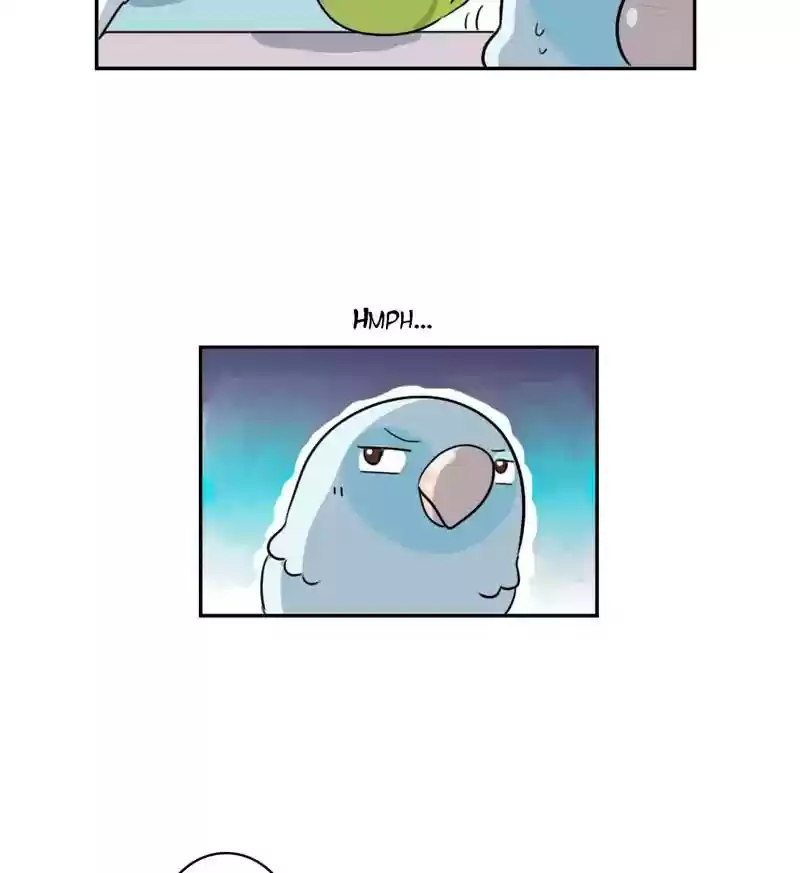 A Budgie's Life Chapter 261: Ep.260: