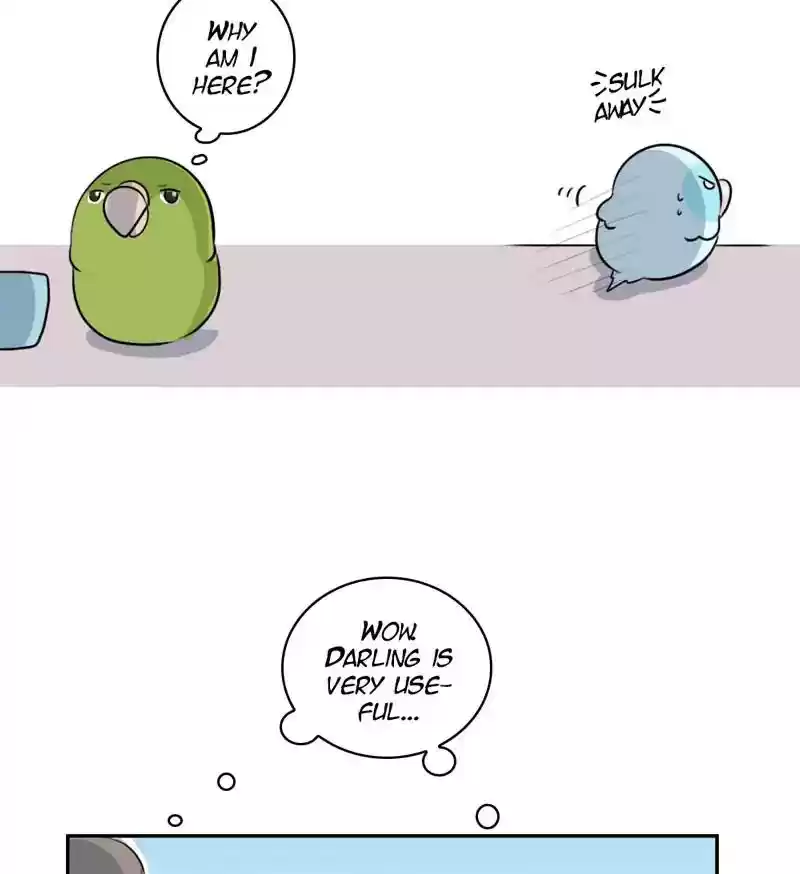 A Budgie's Life Chapter 261: Ep.260: