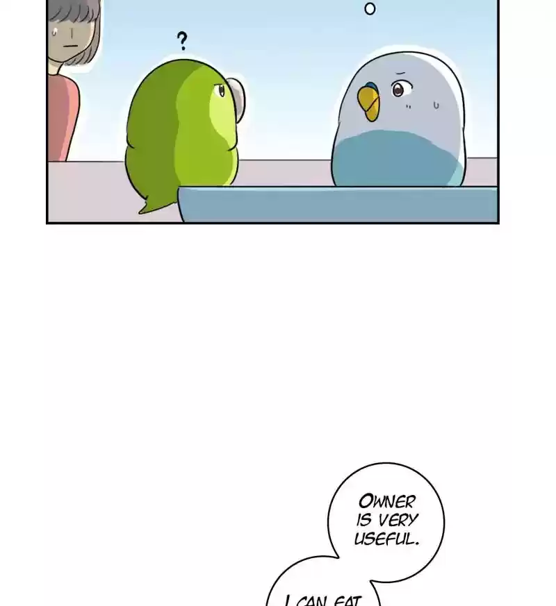 A Budgie's Life Chapter 261: Ep.260: