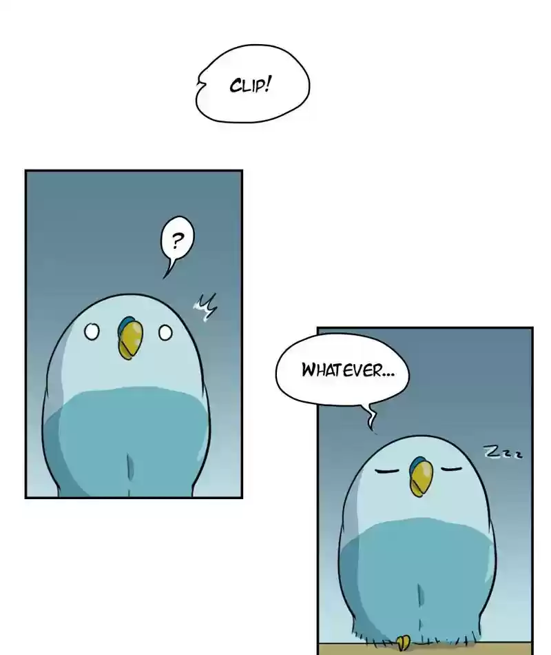 A Budgie's Life Chapter 262: Ep.261: