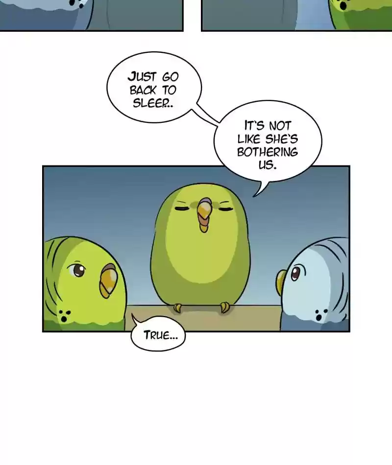 A Budgie's Life Chapter 262: Ep.261: