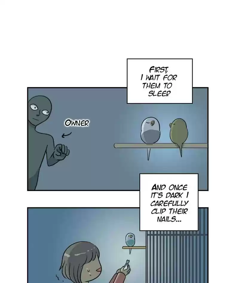 A Budgie's Life Chapter 262: Ep.261: