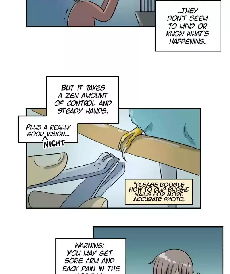 A Budgie's Life Chapter 262: Ep.261: