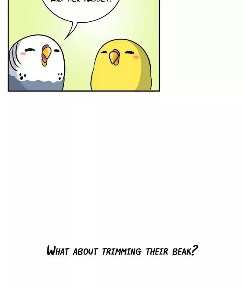 A Budgie's Life Chapter 262: Ep.261: