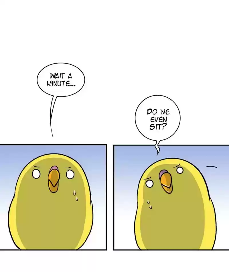 A Budgie's Life Chapter 263: Ep.262: