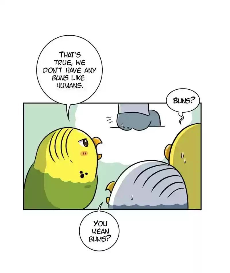 A Budgie's Life Chapter 263: Ep.262: