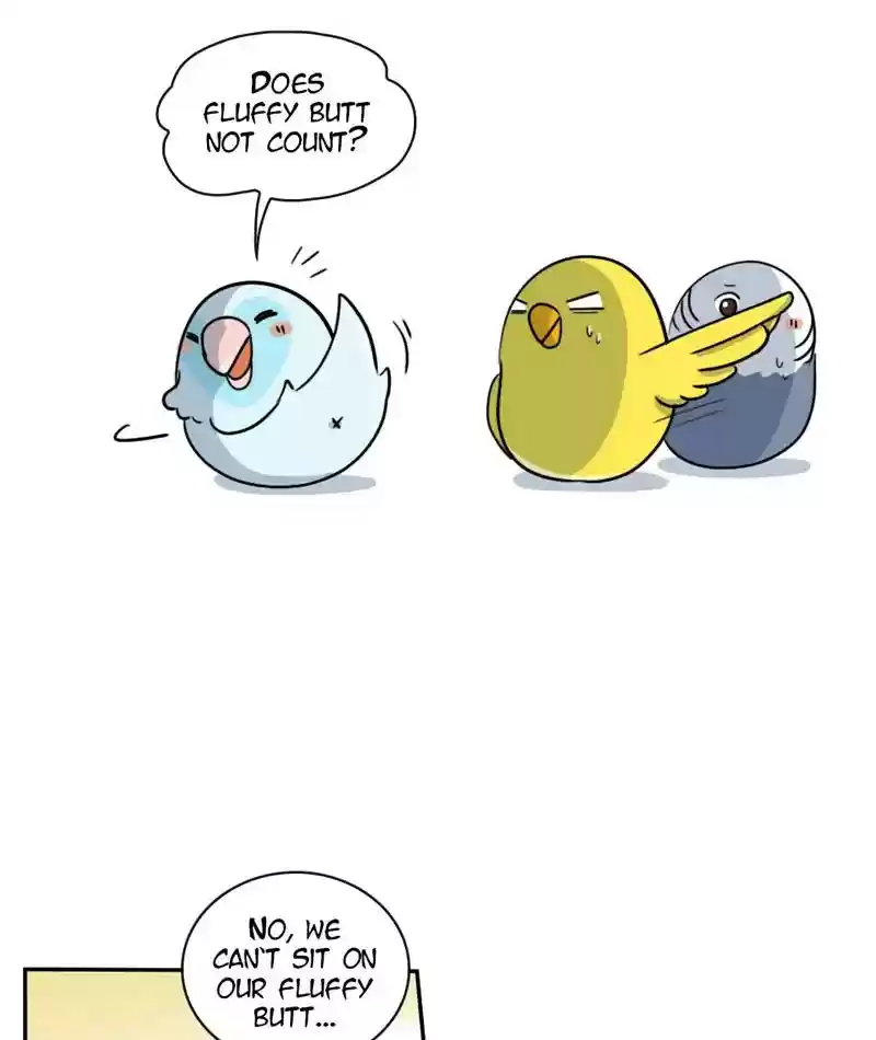 A Budgie's Life Chapter 263: Ep.262: