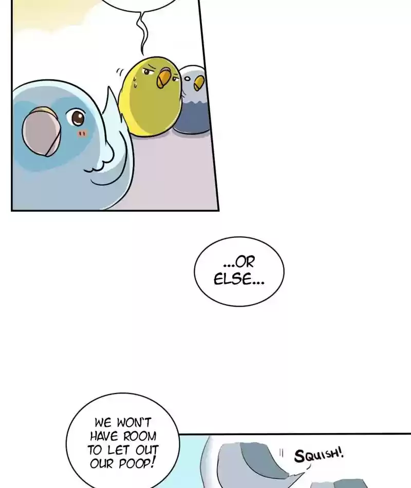 A Budgie's Life Chapter 263: Ep.262: