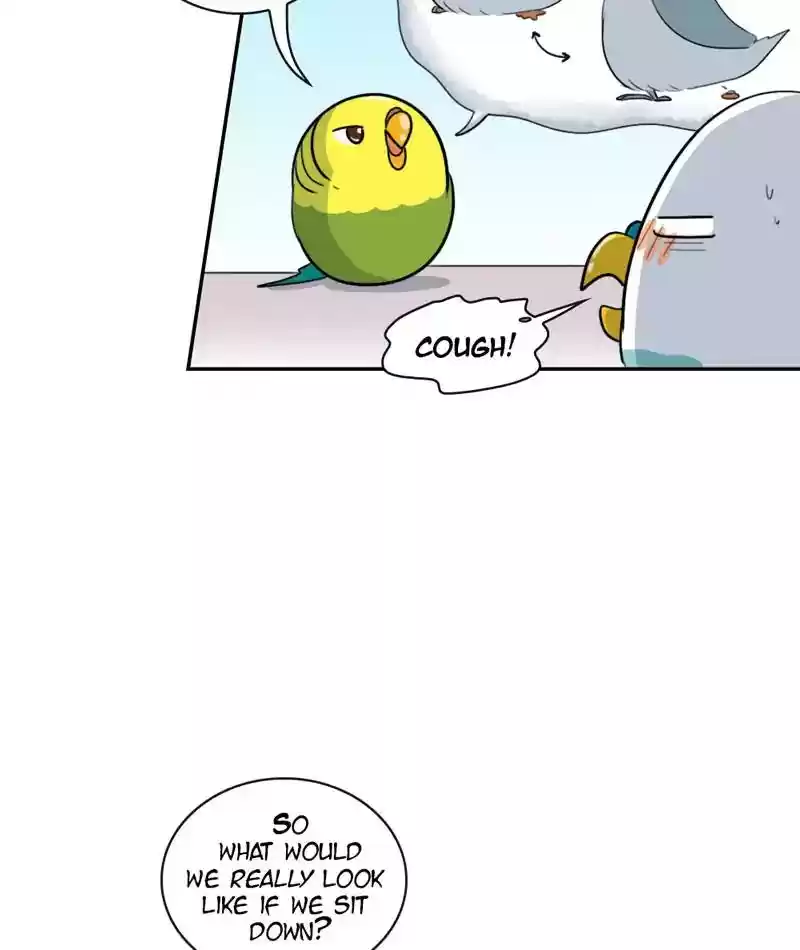 A Budgie's Life Chapter 263: Ep.262: