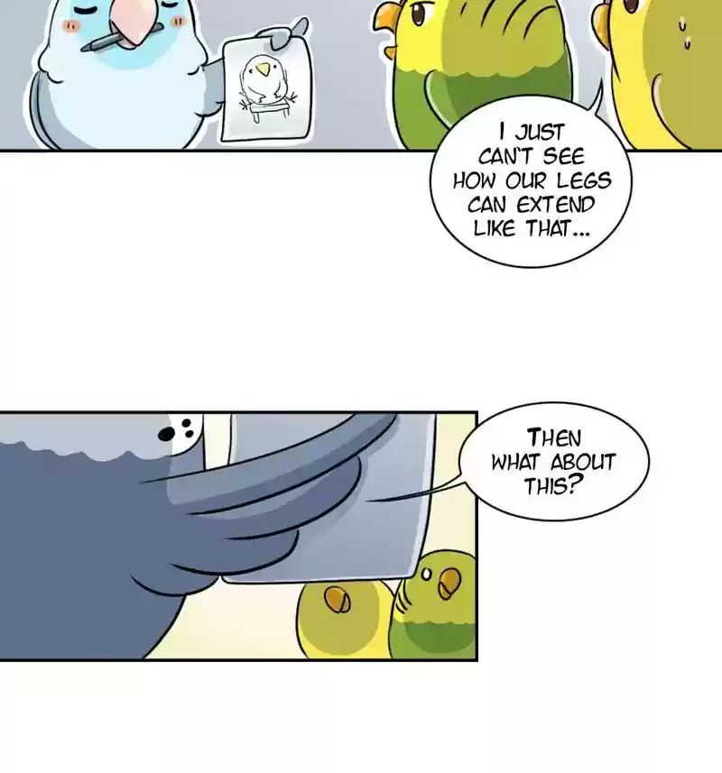 A Budgie's Life Chapter 263: Ep.262: