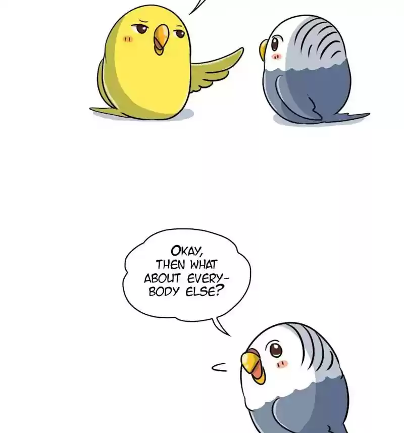 A Budgie's Life Chapter 263: Ep.262: