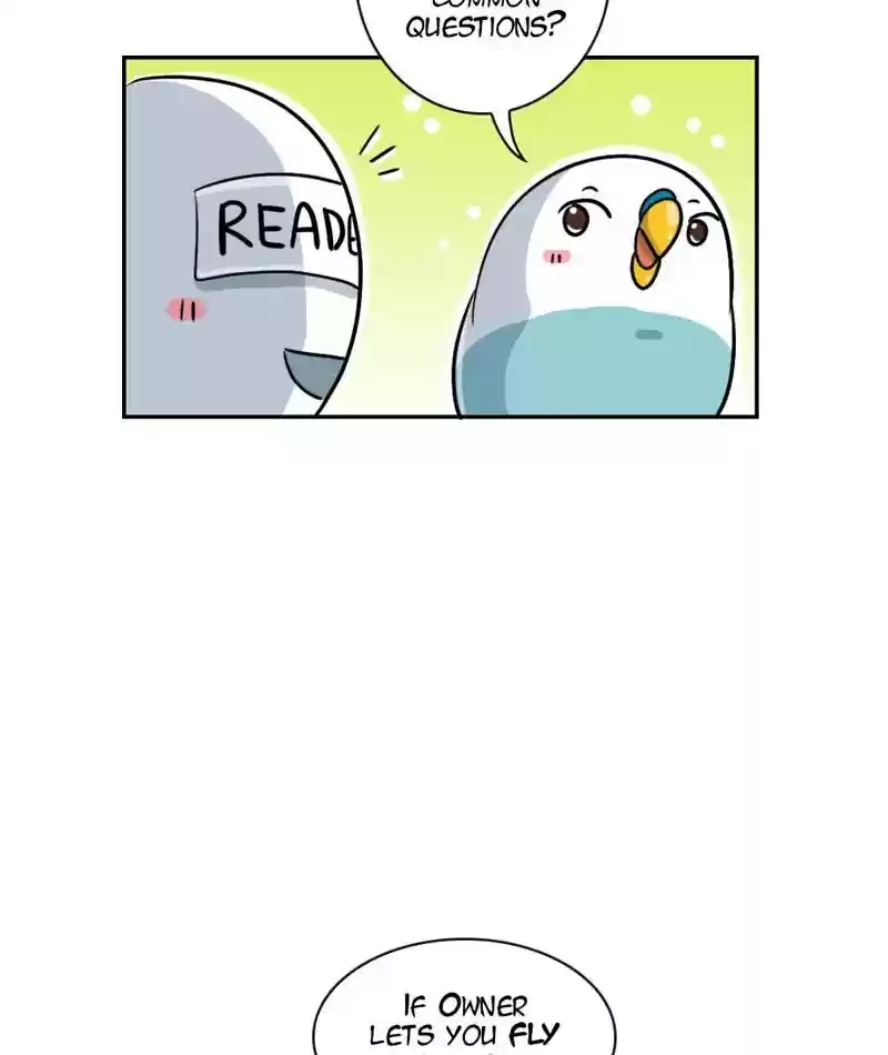 A Budgie's Life Chapter 264: Ep.263: