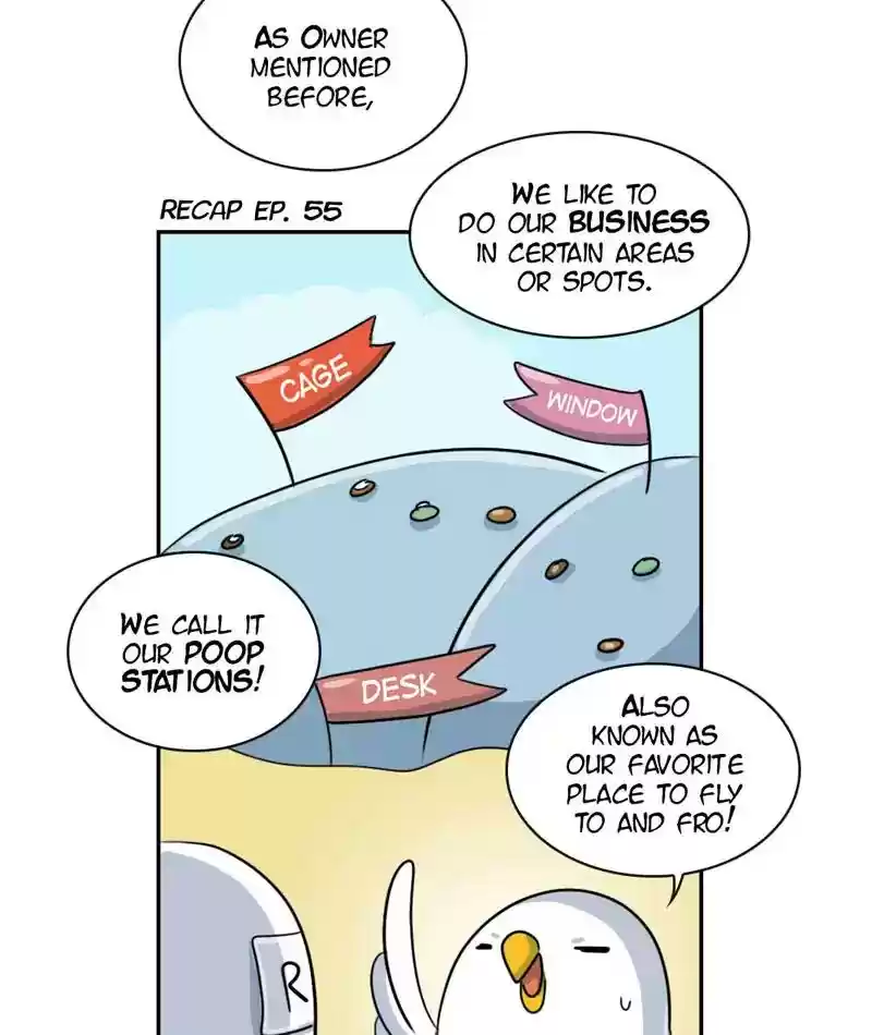 A Budgie's Life Chapter 264: Ep.263: