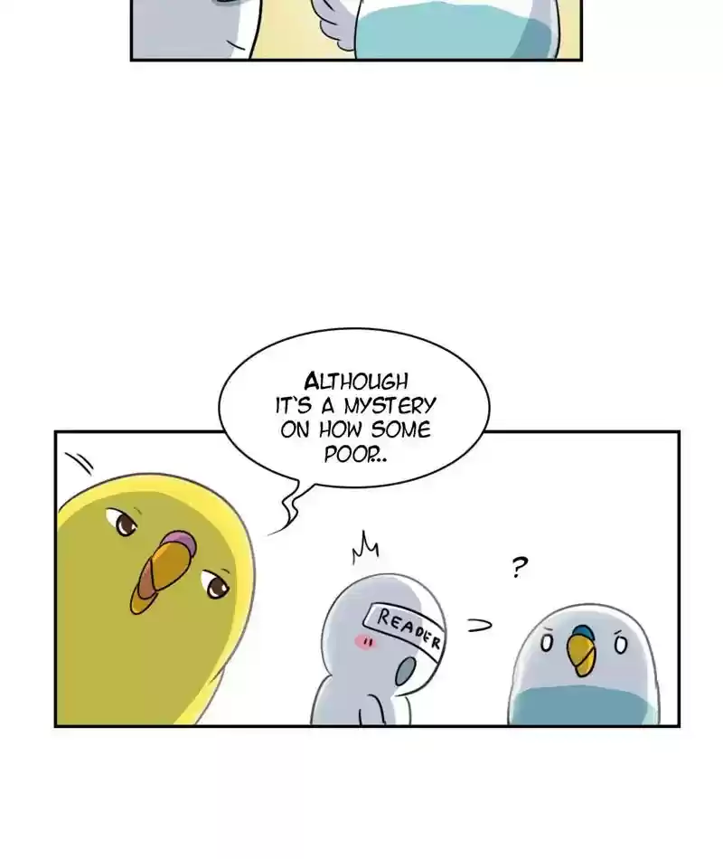 A Budgie's Life Chapter 264: Ep.263: