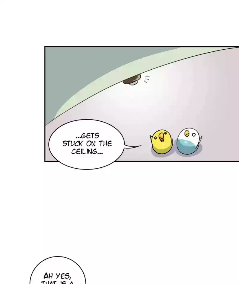 A Budgie's Life Chapter 264: Ep.263: