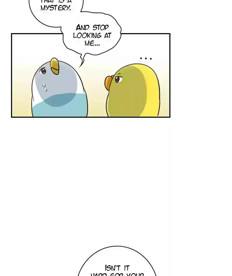 A Budgie's Life Chapter 264: Ep.263: