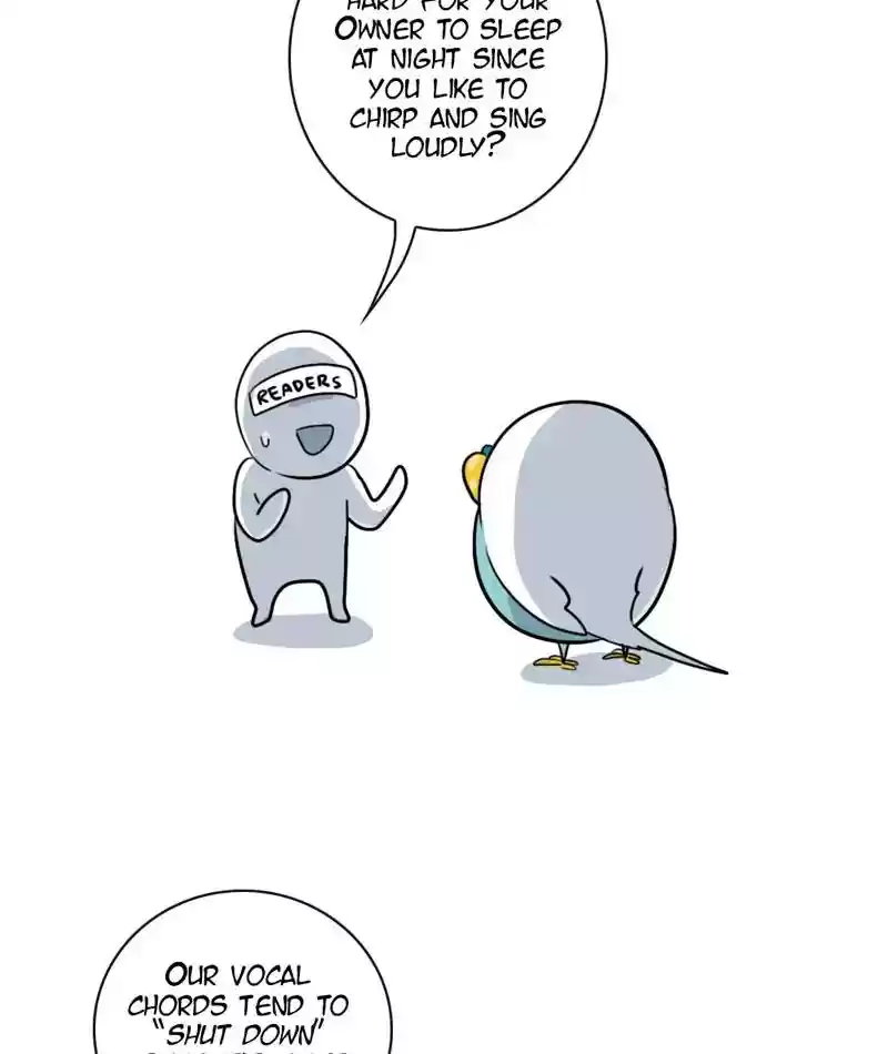 A Budgie's Life Chapter 264: Ep.263: