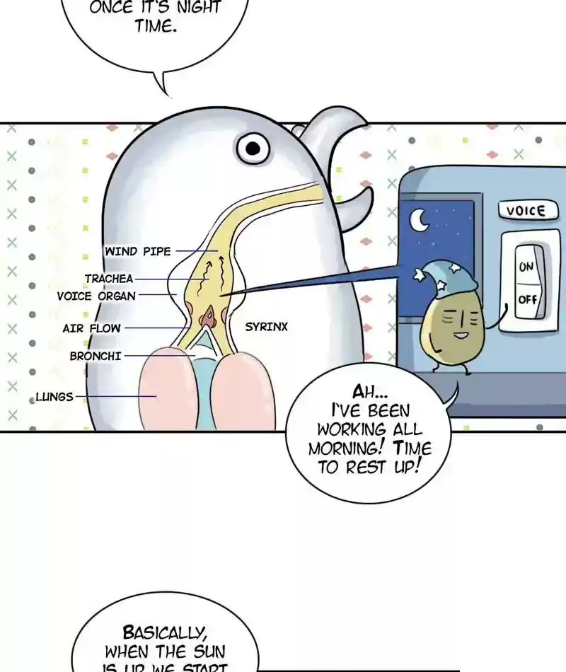 A Budgie's Life Chapter 264: Ep.263: