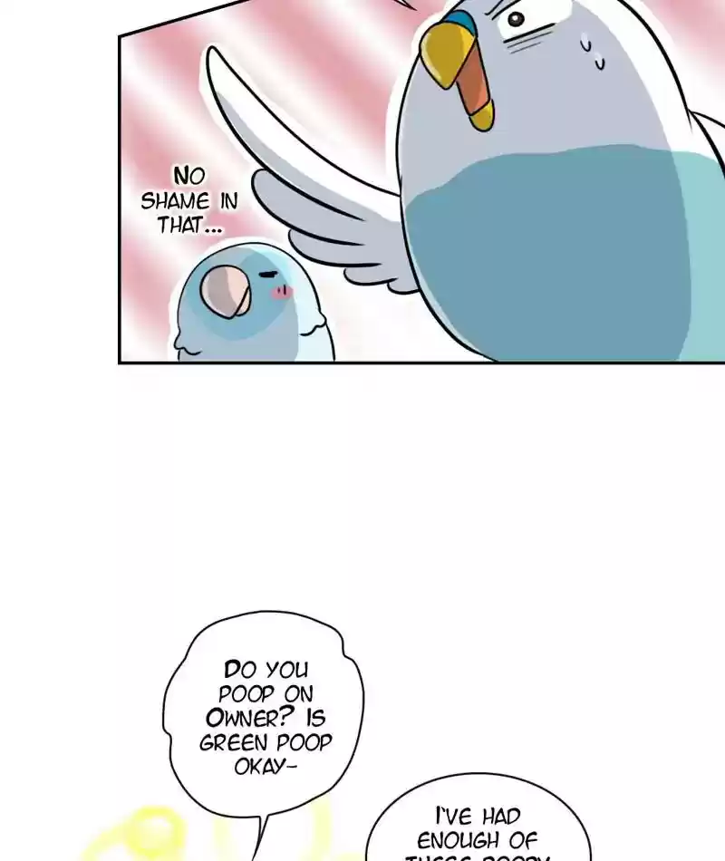 A Budgie's Life Chapter 264: Ep.263: