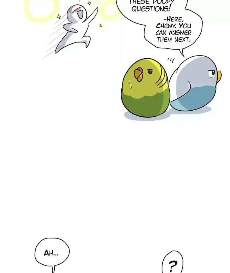 A Budgie's Life Chapter 264: Ep.263:
