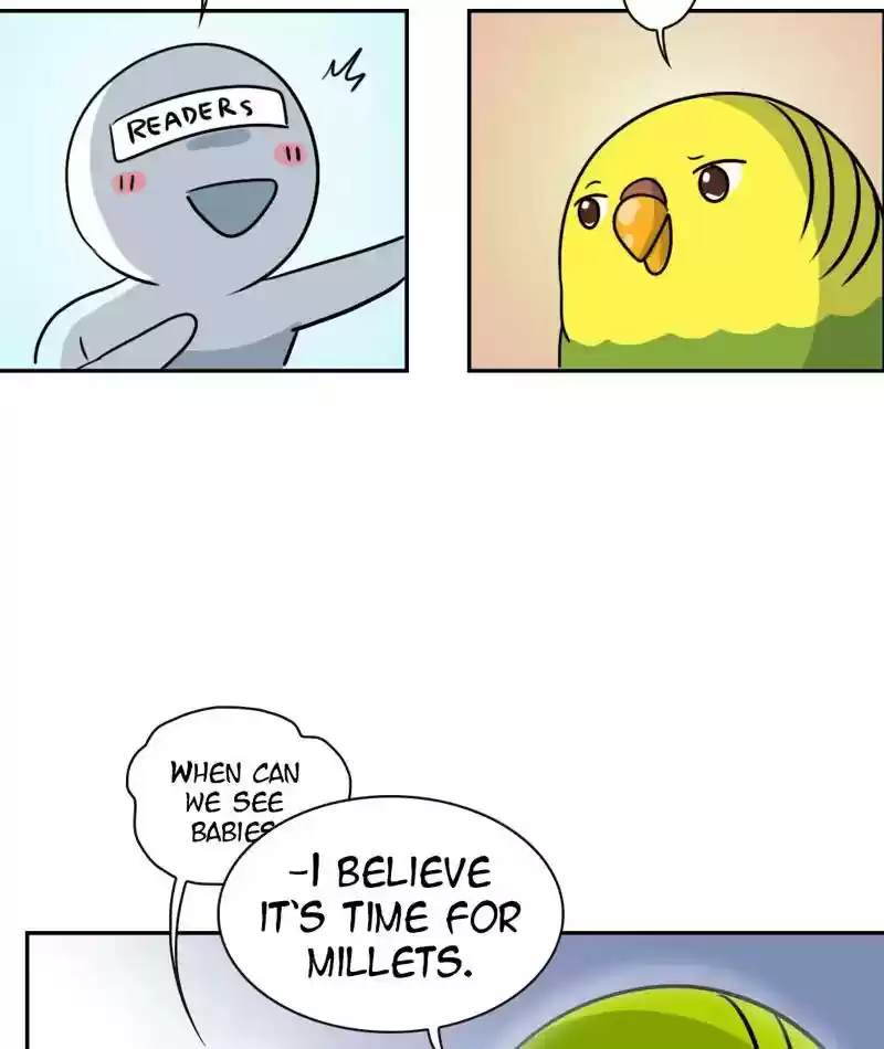 A Budgie's Life Chapter 264: Ep.263: