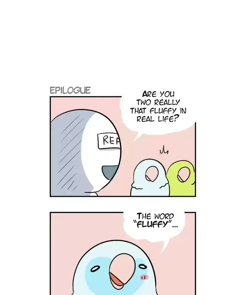 A Budgie's Life Chapter 264: Ep.263: