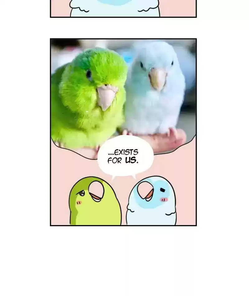A Budgie's Life Chapter 264: Ep.263: