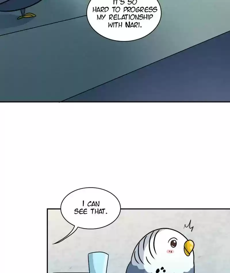 A Budgie's Life Chapter 265: Ep.264: