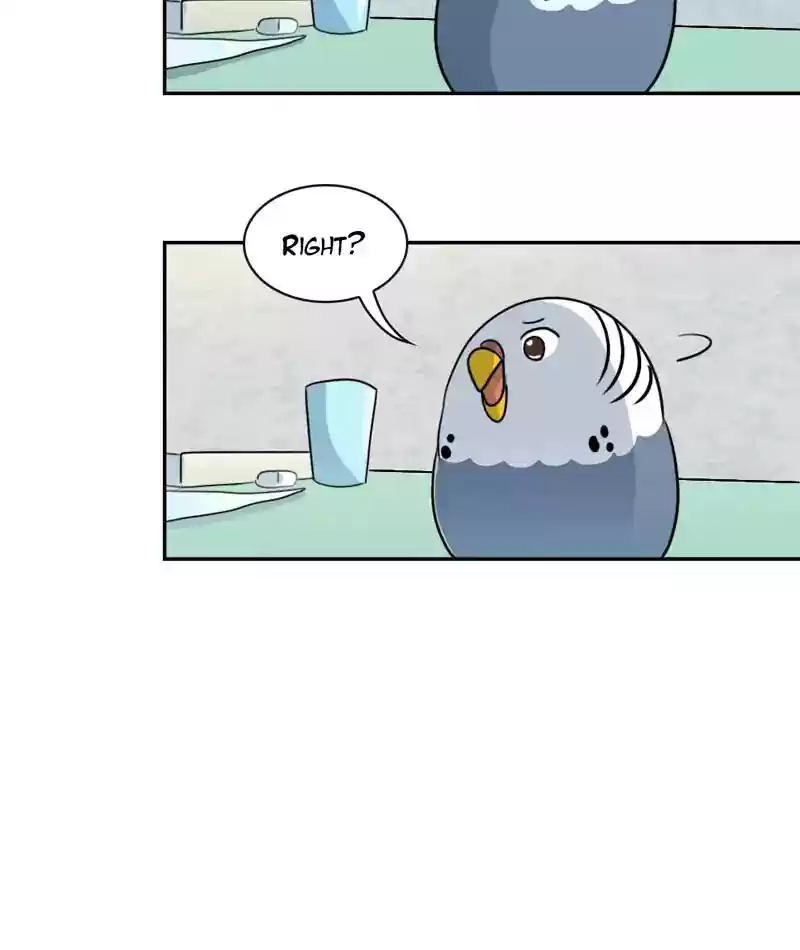 A Budgie's Life Chapter 265: Ep.264: