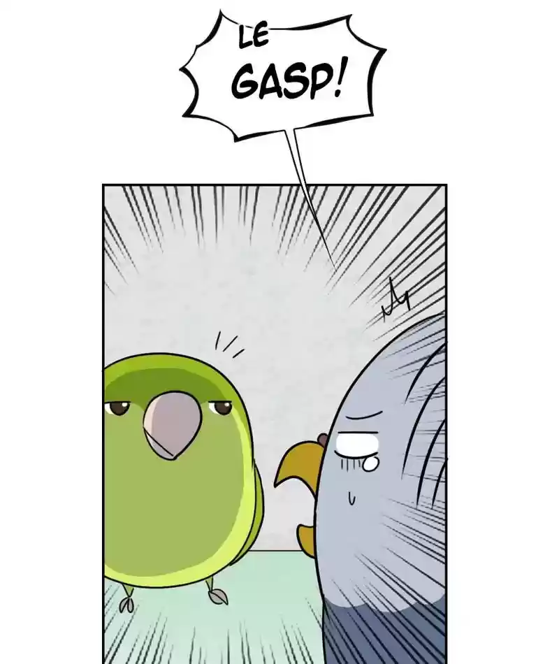 A Budgie's Life Chapter 265: Ep.264: