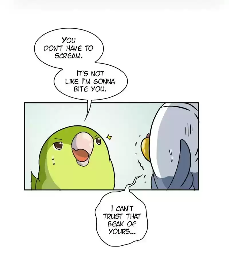 A Budgie's Life Chapter 265: Ep.264: