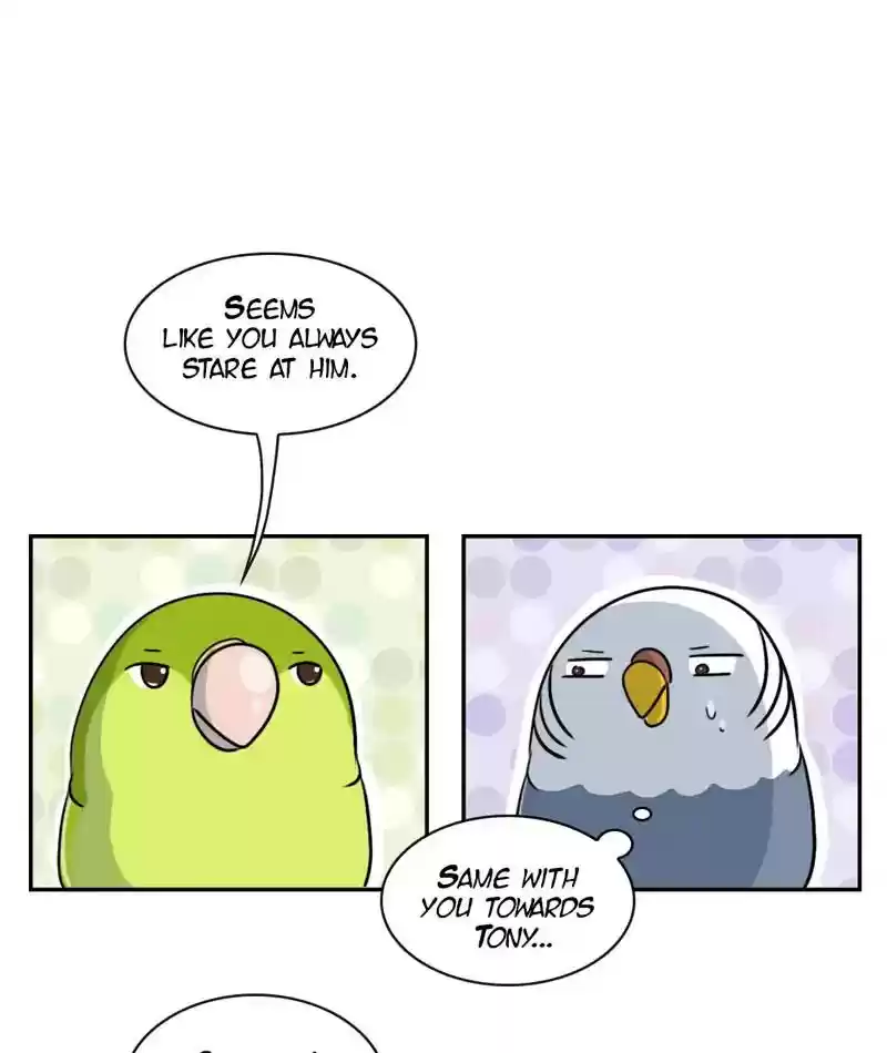 A Budgie's Life Chapter 265: Ep.264: