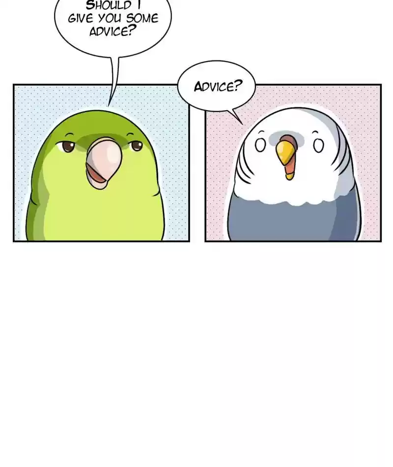 A Budgie's Life Chapter 265: Ep.264: