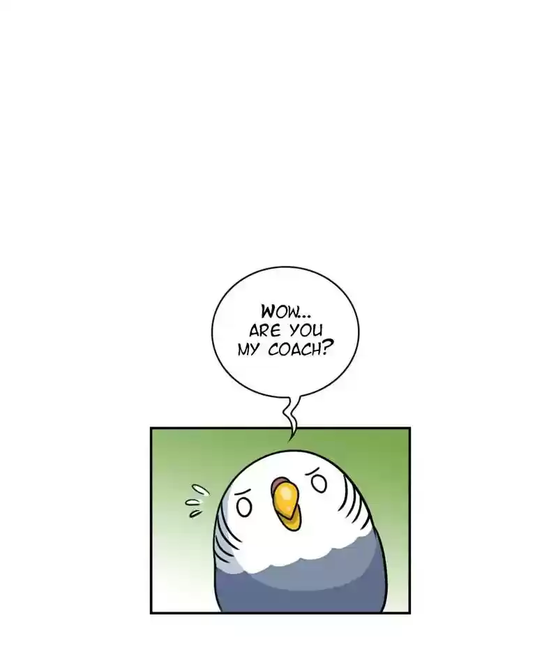 A Budgie's Life Chapter 265: Ep.264: