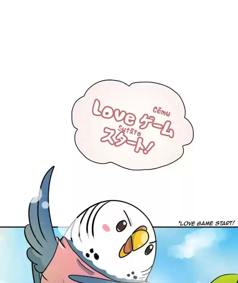 A Budgie's Life Chapter 265: Ep.264: