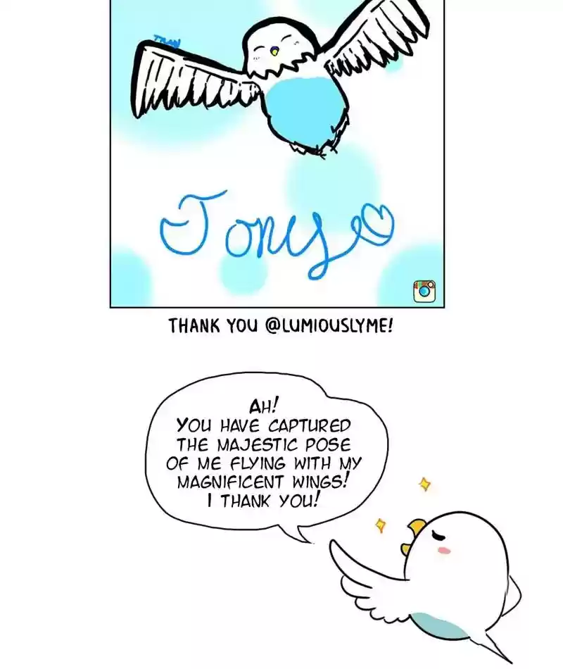 A Budgie's Life Chapter 265: Ep.264: