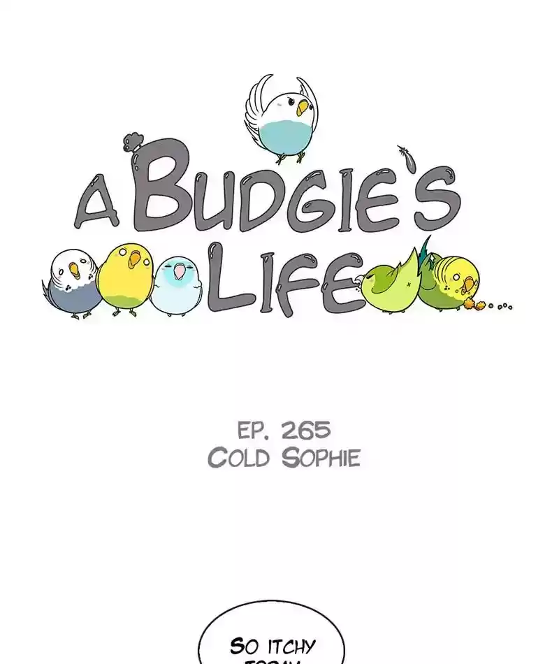 A Budgie's Life Chapter 266: Ep.265:
