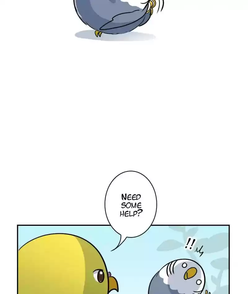 A Budgie's Life Chapter 266: Ep.265: