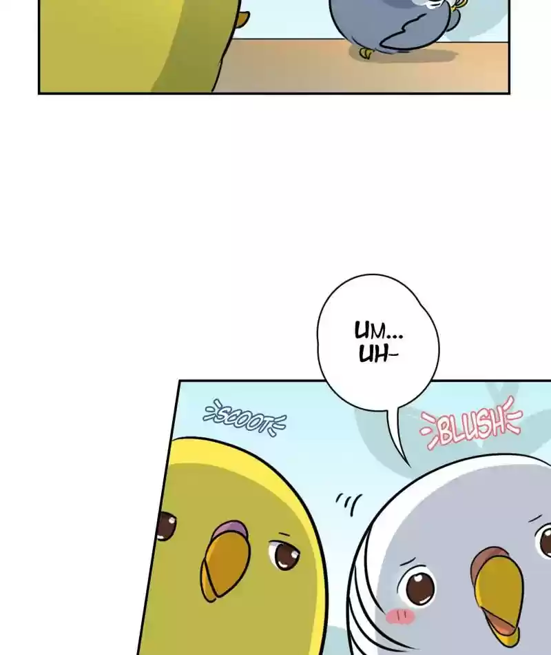 A Budgie's Life Chapter 266: Ep.265: