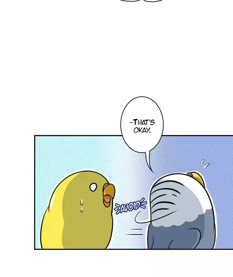 A Budgie's Life Chapter 266: Ep.265: