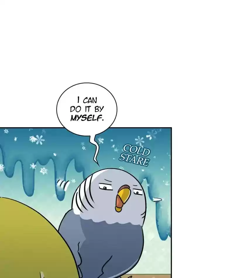 A Budgie's Life Chapter 266: Ep.265: