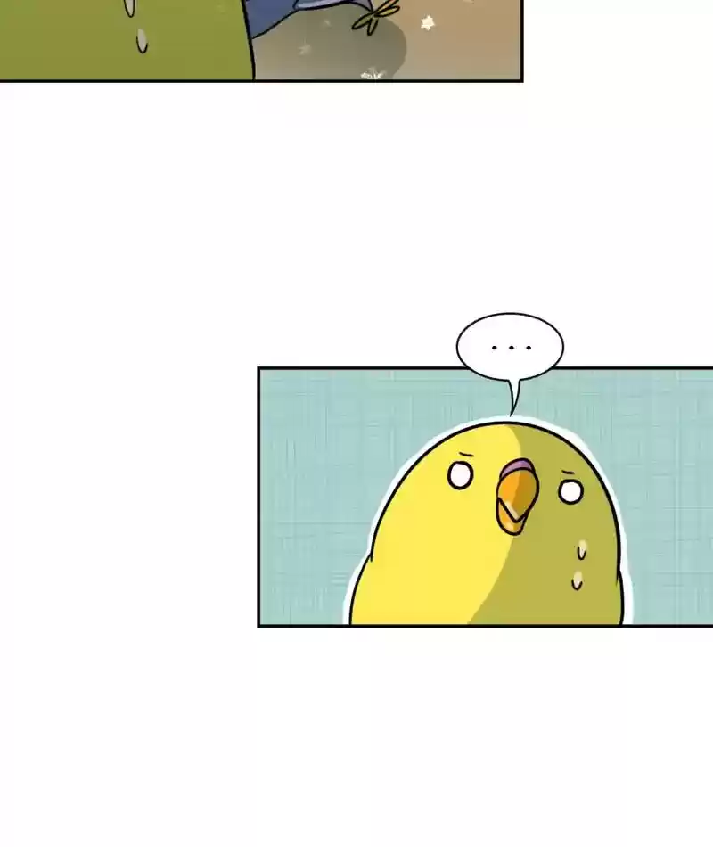 A Budgie's Life Chapter 266: Ep.265: