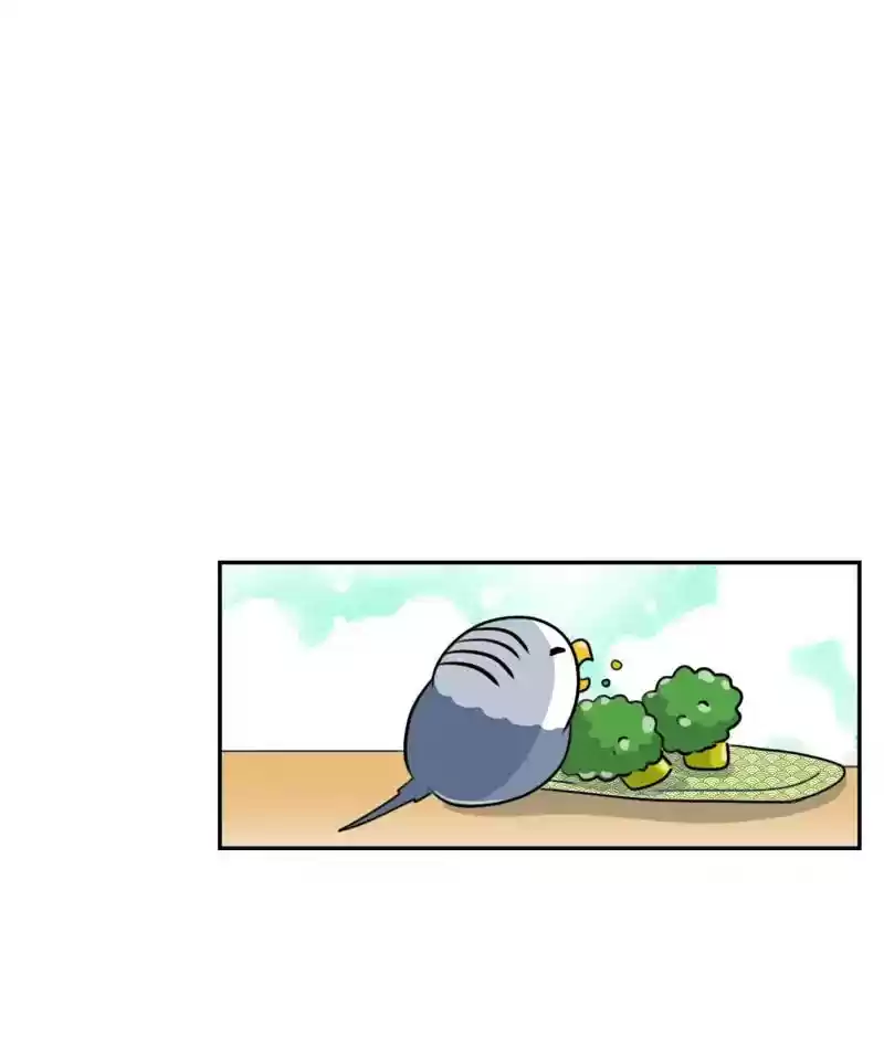 A Budgie's Life Chapter 266: Ep.265: