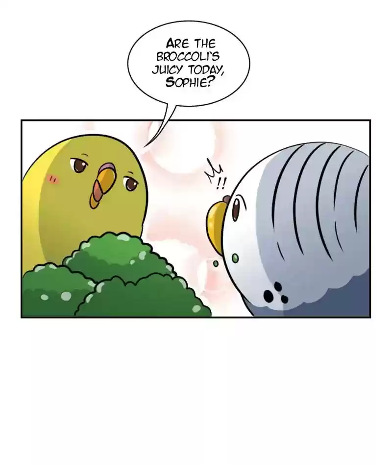 A Budgie's Life Chapter 266: Ep.265: