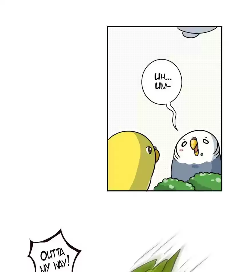 A Budgie's Life Chapter 266: Ep.265: