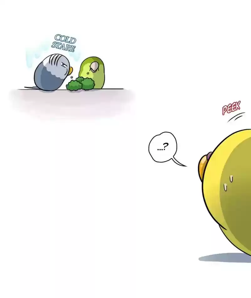 A Budgie's Life Chapter 266: Ep.265: