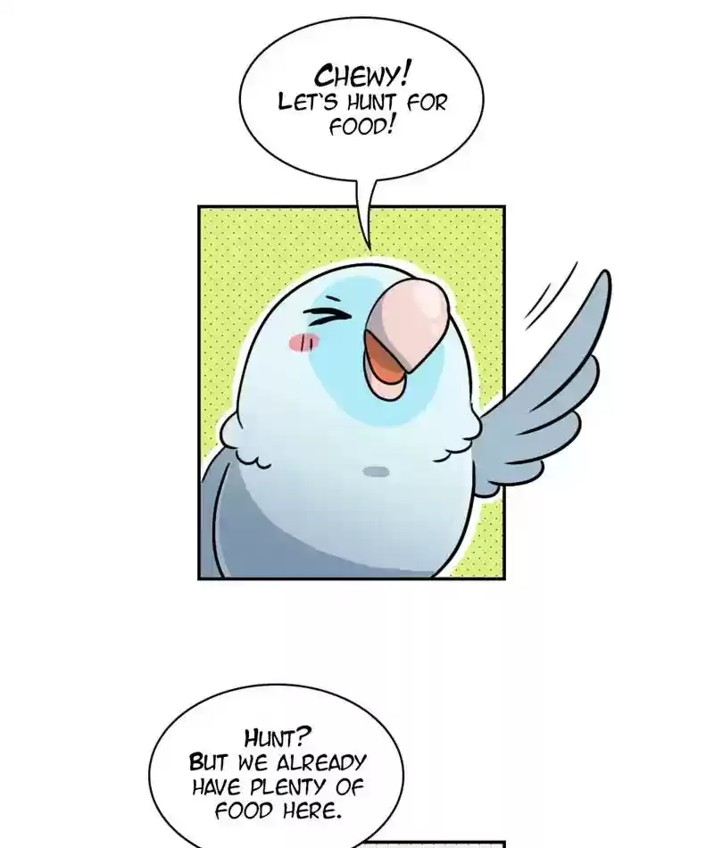 A Budgie's Life Chapter 267: Ep.266: