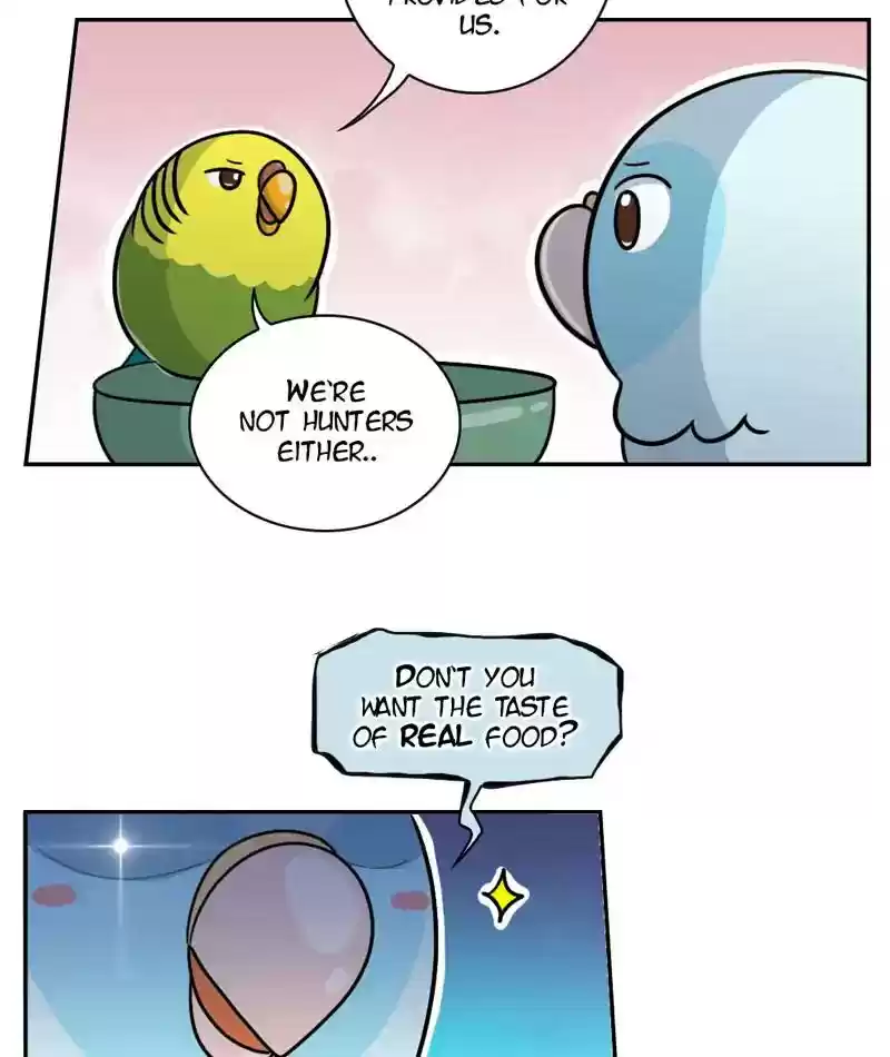 A Budgie's Life Chapter 267: Ep.266:
