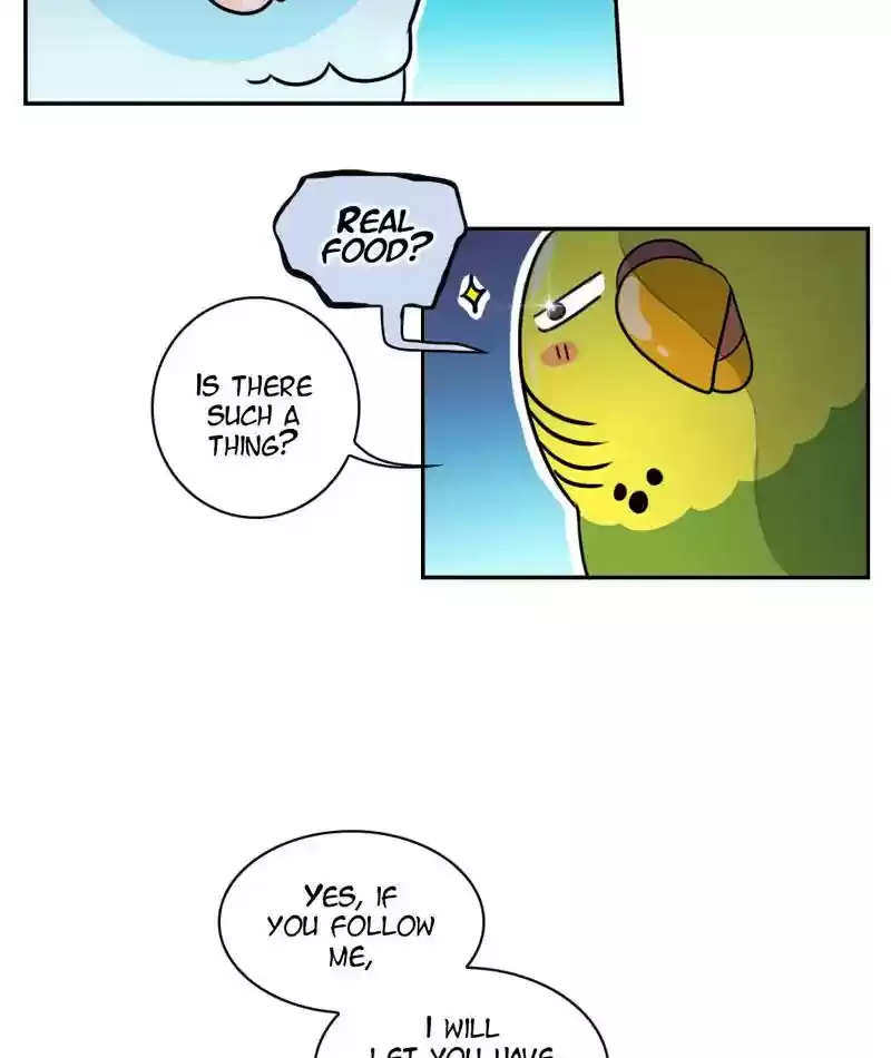 A Budgie's Life Chapter 267: Ep.266: