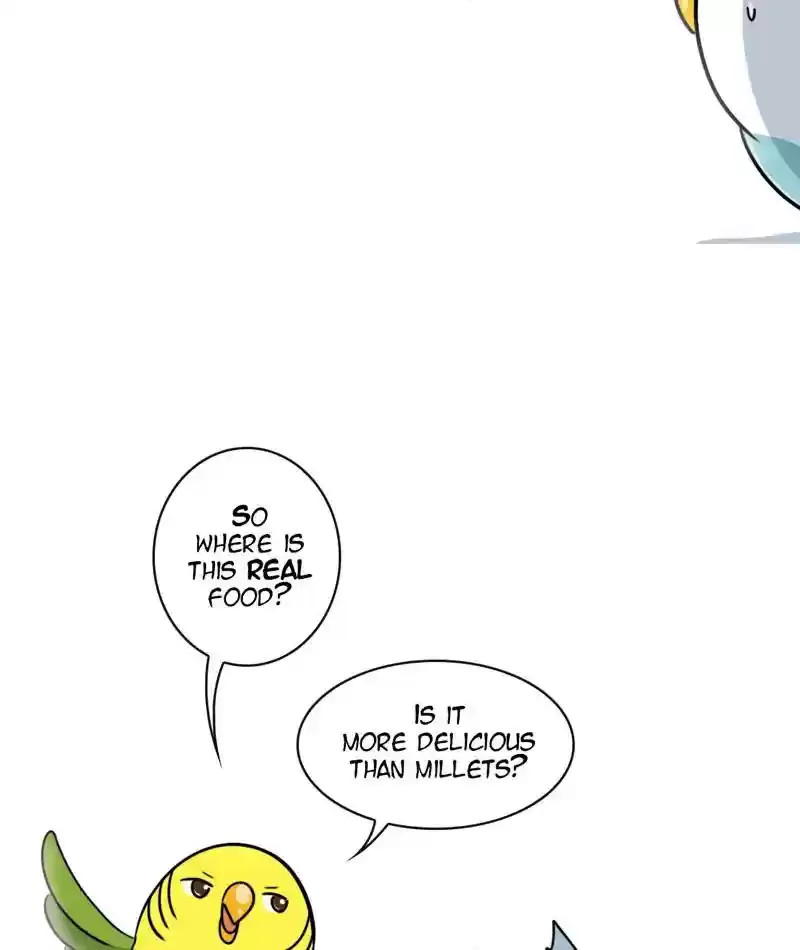 A Budgie's Life Chapter 267: Ep.266: